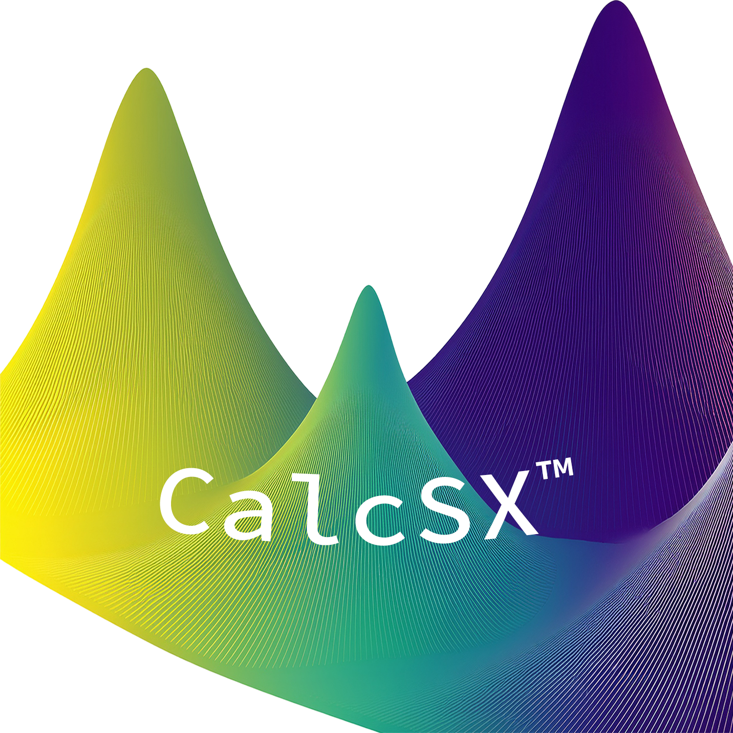 CalcSX app icon